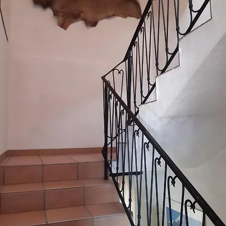 Apartament Alpenheim Zell am See