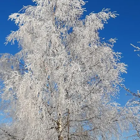 Alpenheim