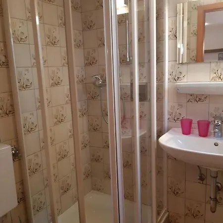 Alpenheim 公寓 滨湖采尔